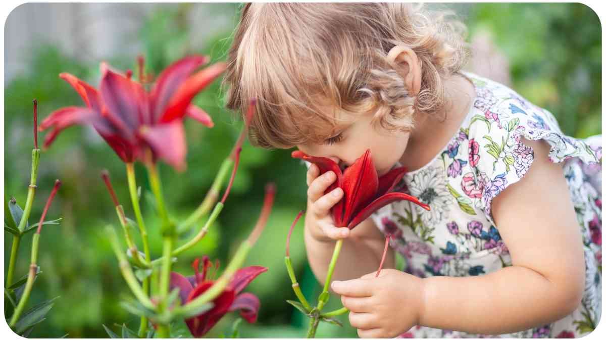 Cultivating Green Thumbs A Toddler's Gardening Guide