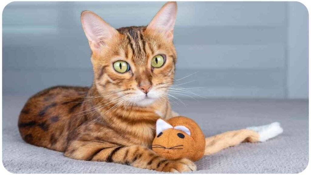 a cat is laying on a bed with a toy