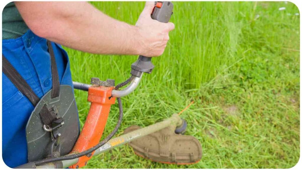 a person is using an electric lawn mower to cut the grass