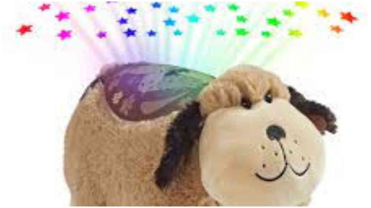 Pillow Pet