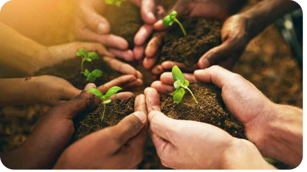 a group of hands holding young plants in soil