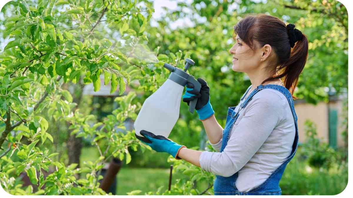 Battling Aphids: Effective Organic Strategies to Protect Your Roses