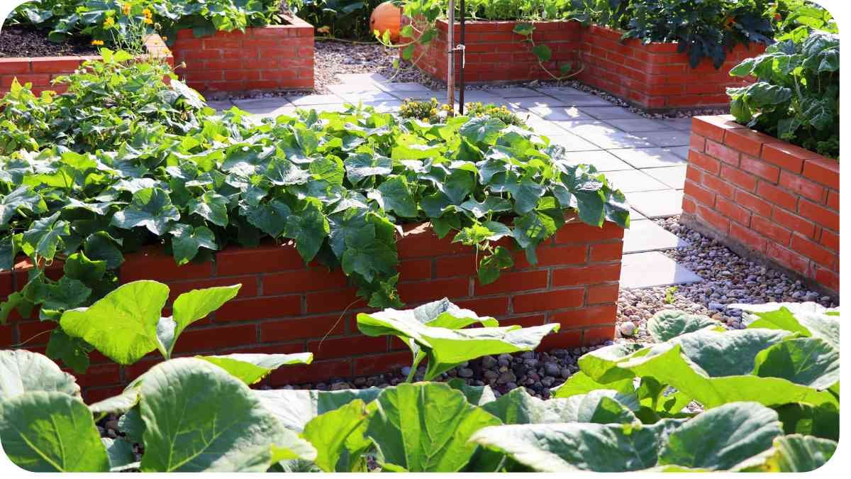 Beginner's Guide to Raised Bed Gardening: Elevate Your Vegetable Harvest