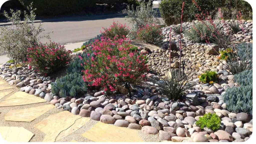 a landscaping design with rocks, shrubs and flowers