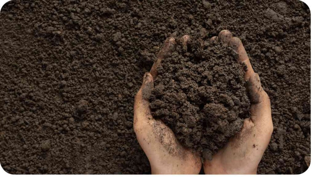 two hands holding soil in front of a pile of dirt