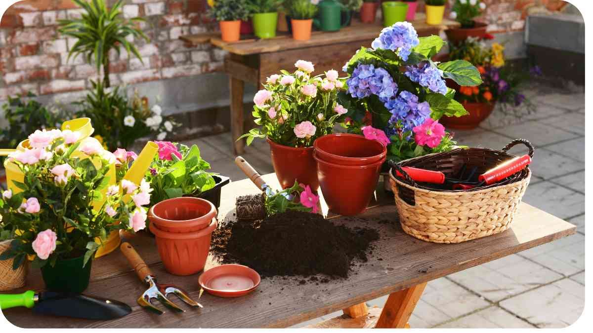 Elevate Your Patio: A Guide to Gorgeous Container Gardening