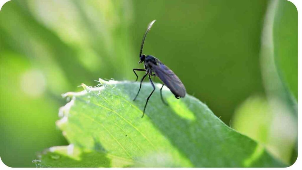 a bug sitting on top of a green leaf