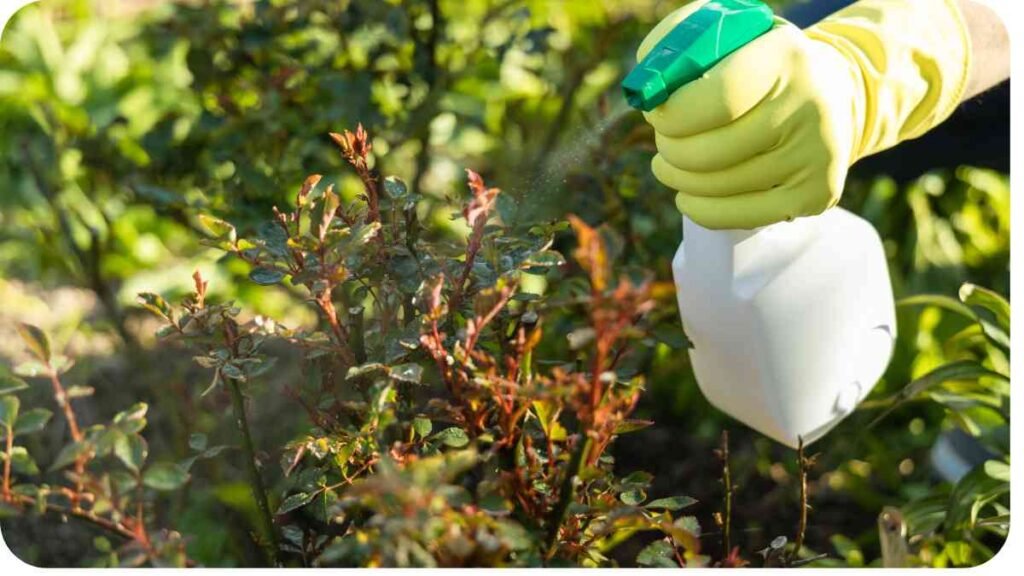 a person in yellow gloves using a sprayer to spray plants