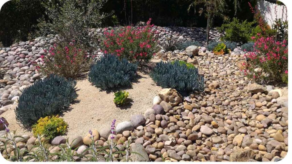 a garden with rocks and plants in it