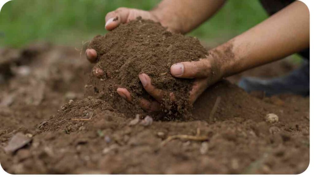 a person is holding soil in their hands