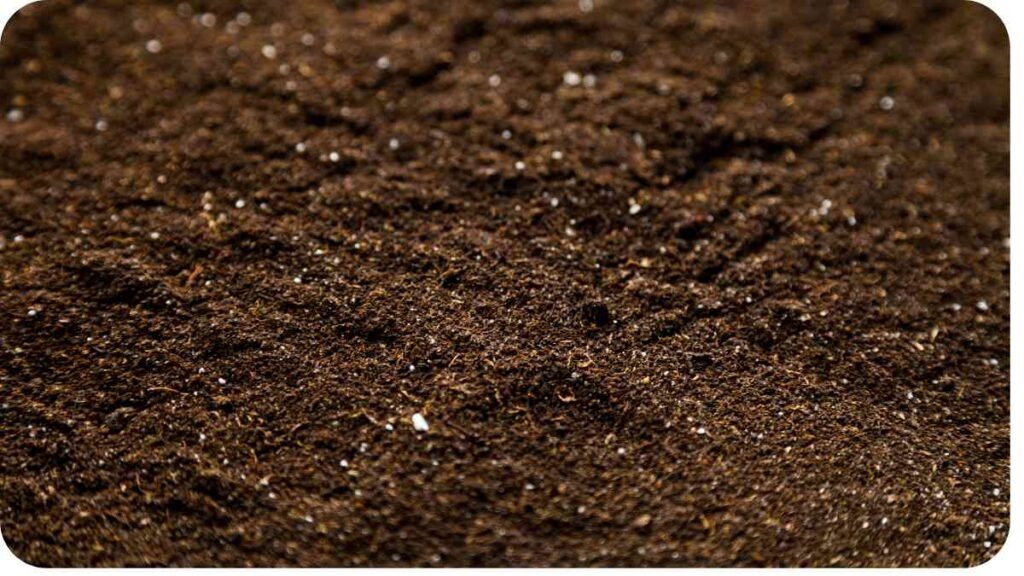 a close up view of a pile of dirt