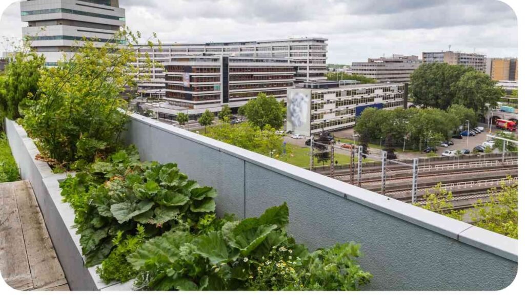 a rooftop garden with plants growing on the side of a building