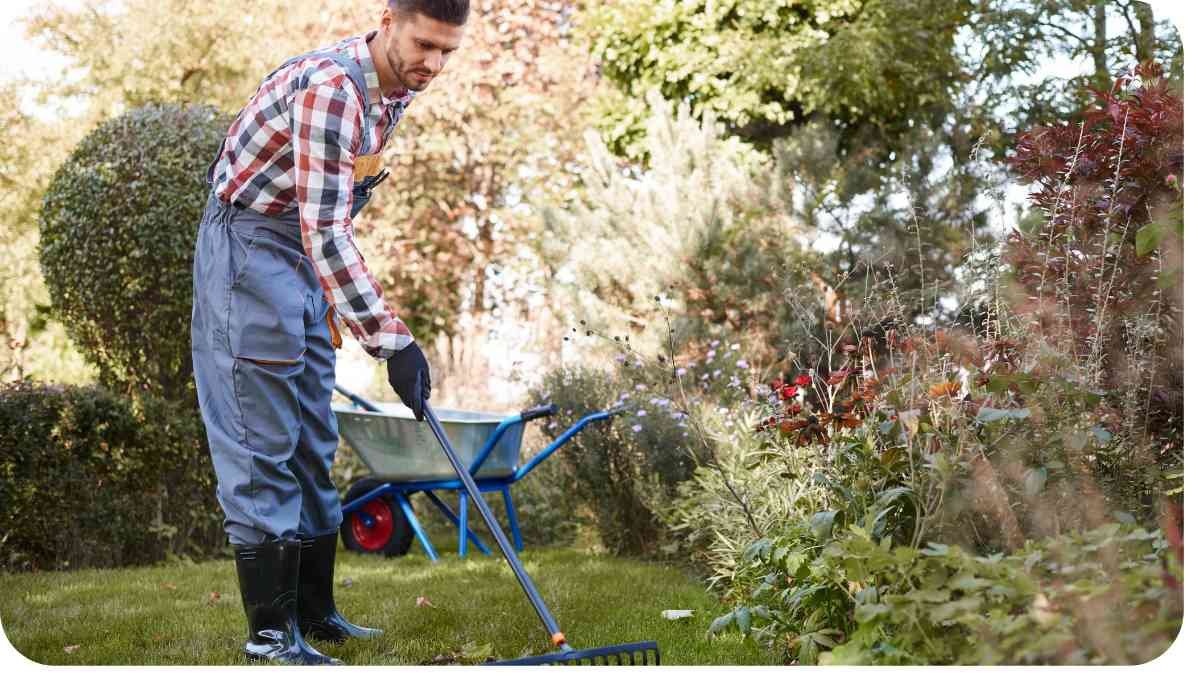 Transitioning Your Garden: Essential Fall Cleanup and Preparation Tasks