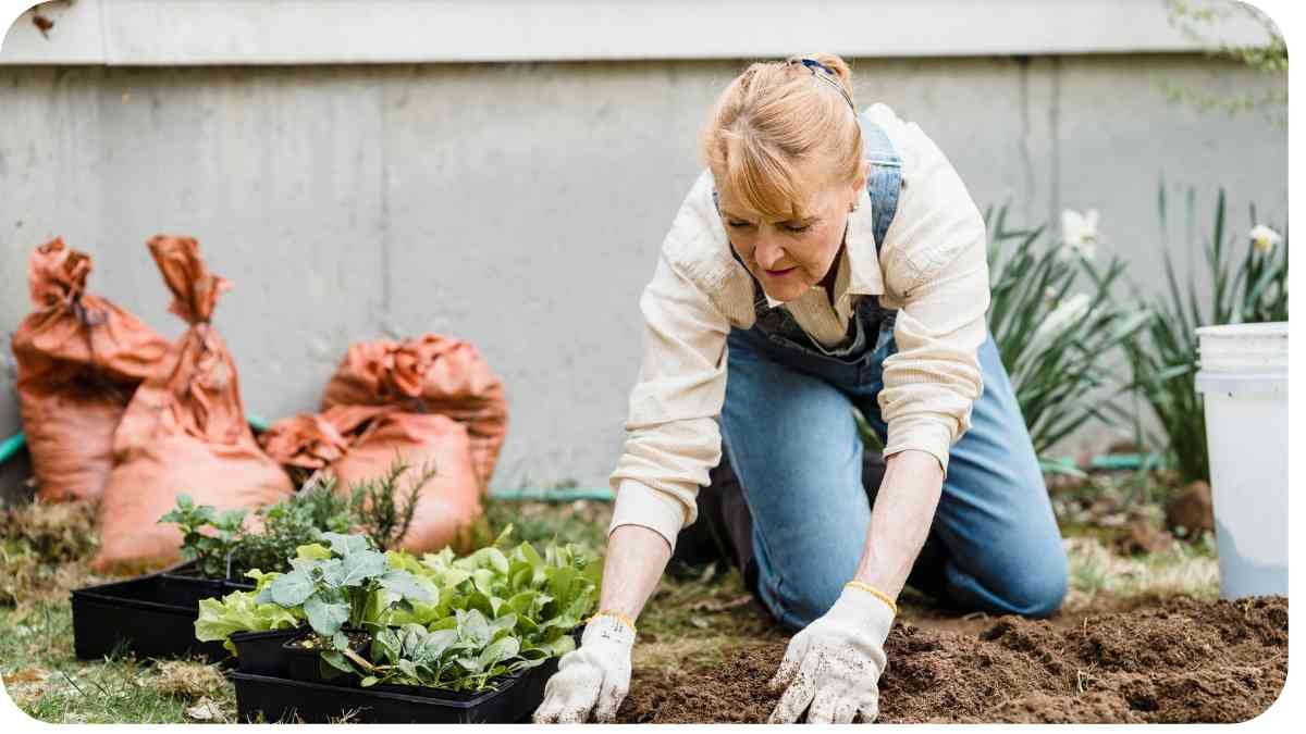 What States Have The Best Soil For Gardening?